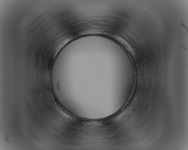 X0000091561337200709071118