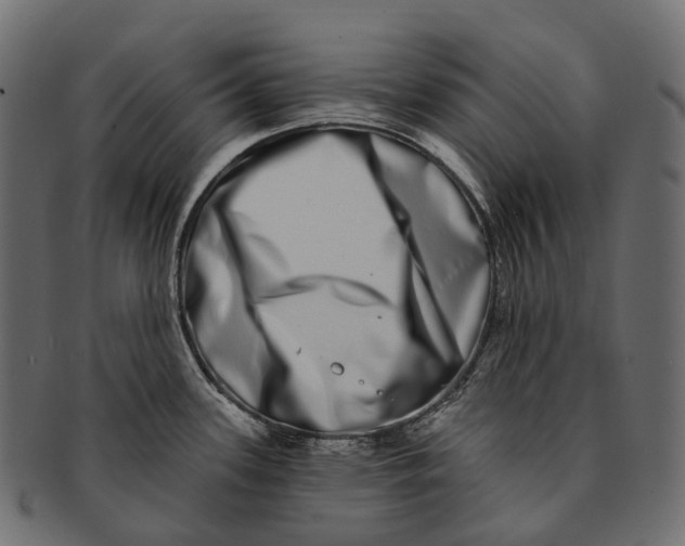 X0000091561339200709071118