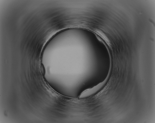 X0000091561340200709071118