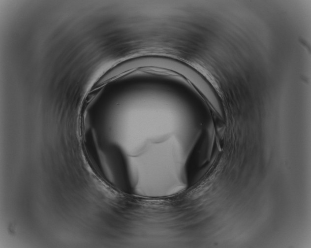 X0000091561342200709071118