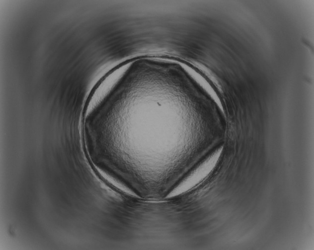 X0000091561343200709071118