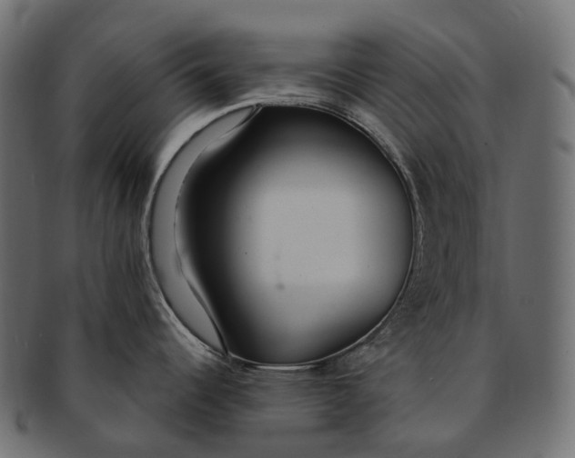 X0000091561344200709071118