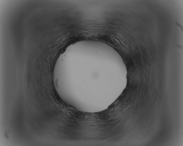 X0000091561345200709071118