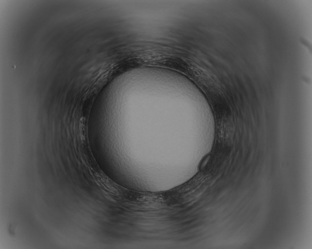 X0000091561346200709071118