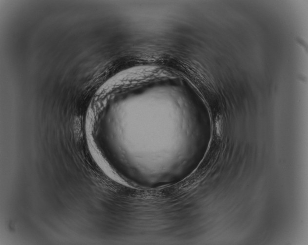 X0000091561347200709071118