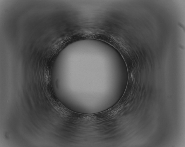 X0000091561348200709071117