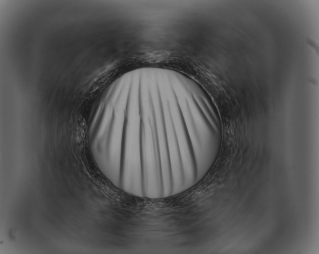 X0000091561349200709071117