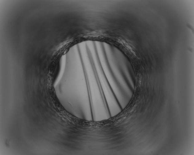 X0000091561350200709071117