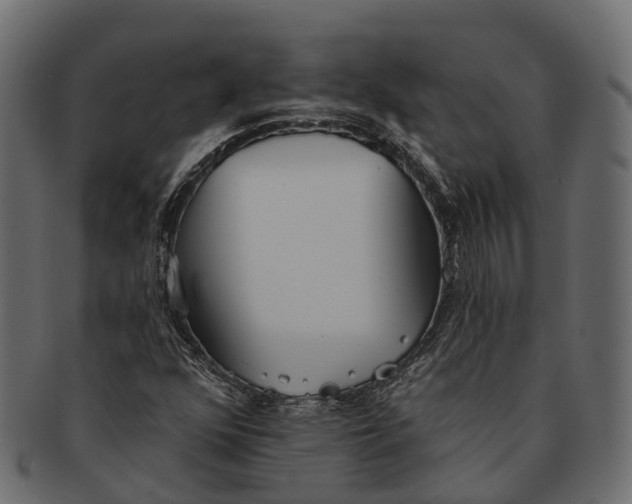 X0000091561352200709071117