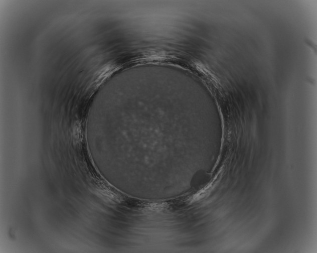 X0000091561353200709071117