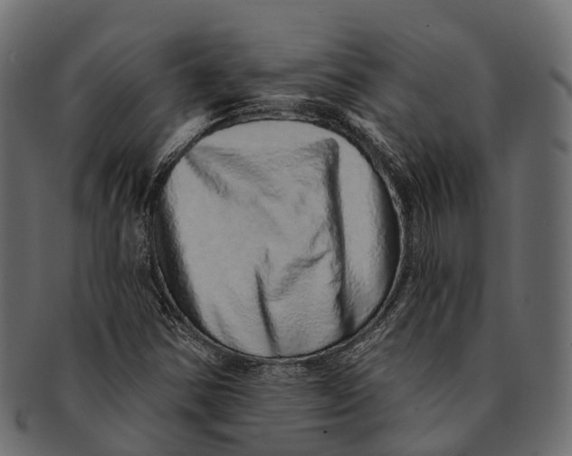 X0000091561354200709071117