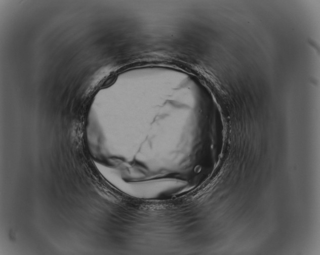 X0000091561355200709071117