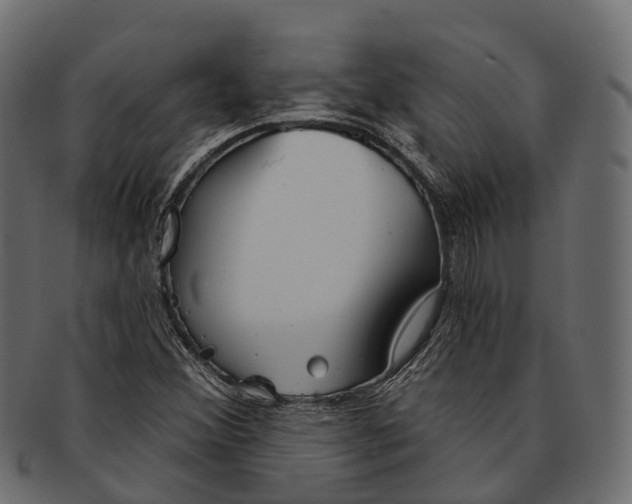 X0000091561356200709071117