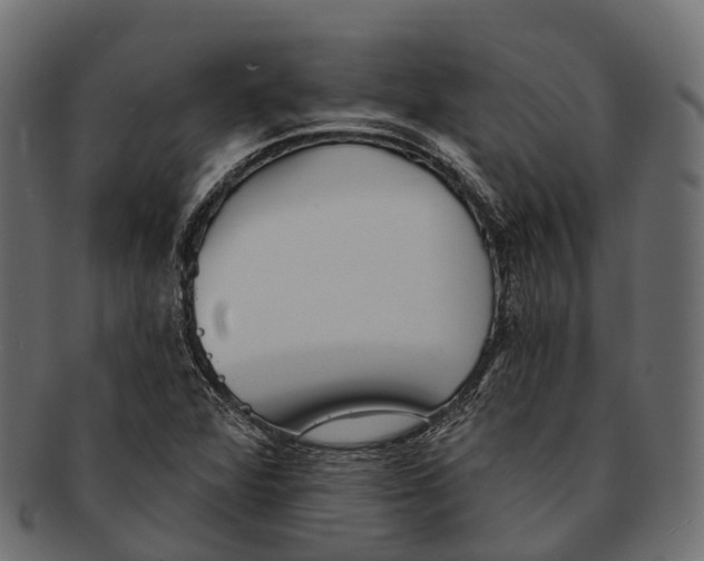 X0000091561360200709071117