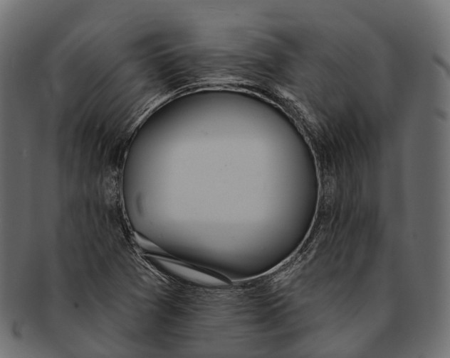 X0000091561361200709071117