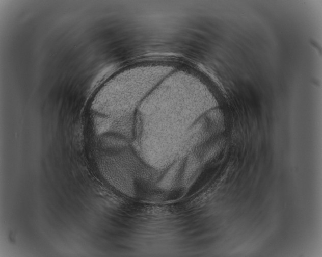 X0000091561362200709071117