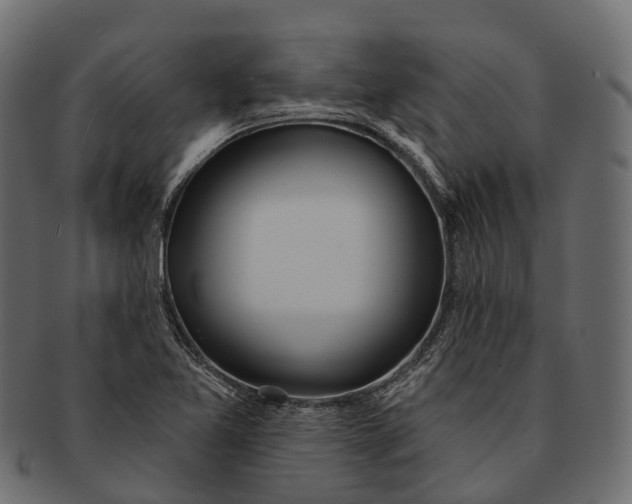 X0000091561365200709071117