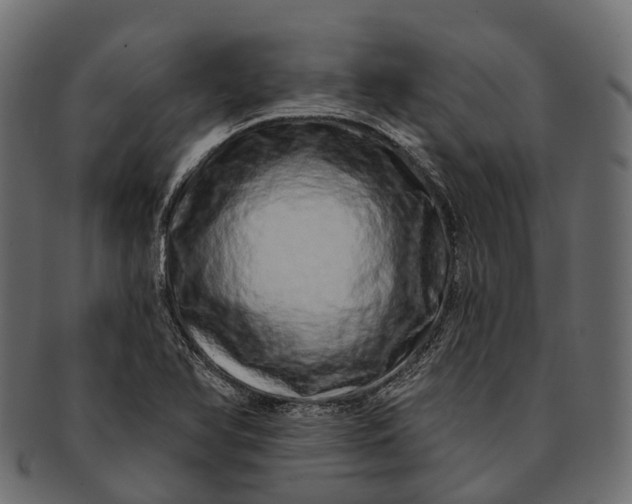 X0000091561366200709071117