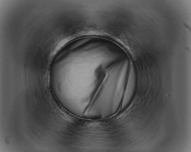 X0000091561367200709071117