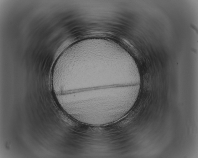 X0000091561370200709071117