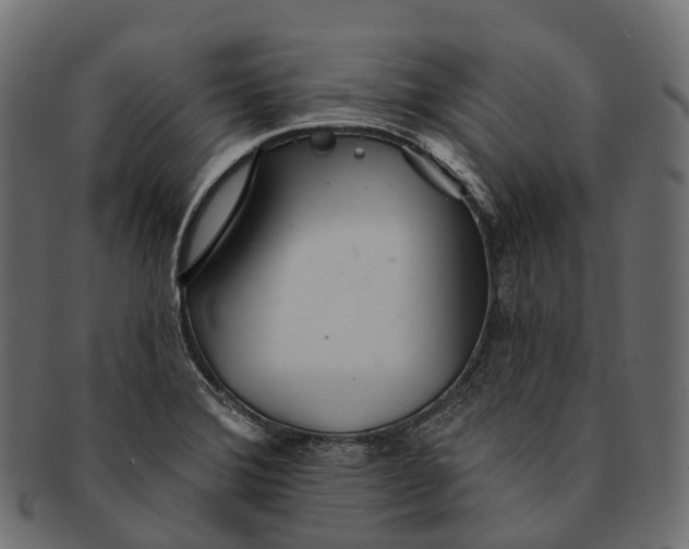 X0000091561372200709071117