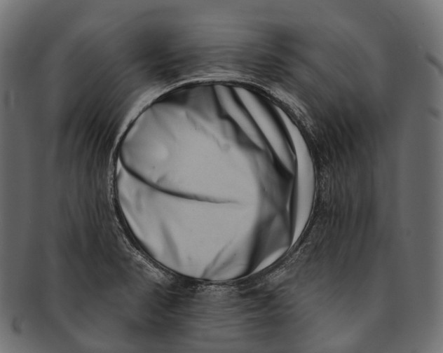 X0000091561374200709071117