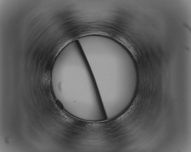 X0000091561377200709071117