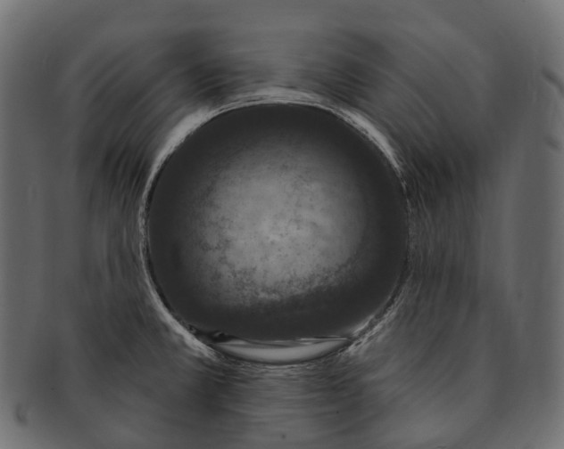 X0000091561381200709071117