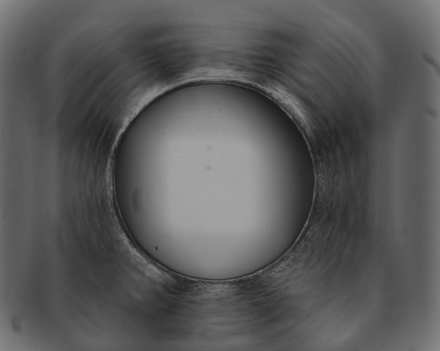 X0000091561382200709071117