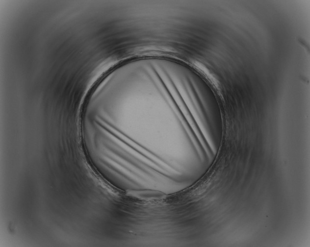 X0000091561384200709071117