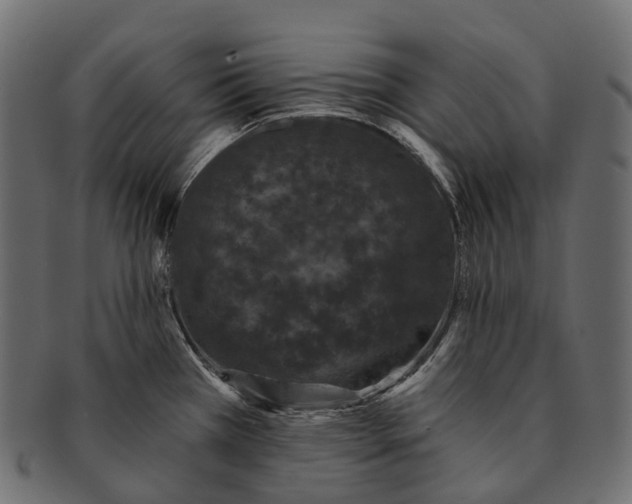 X0000091561385200709071117