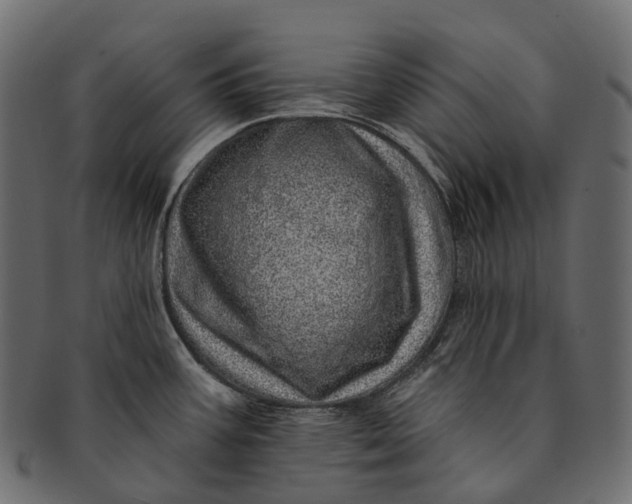 X0000091561387200709071117