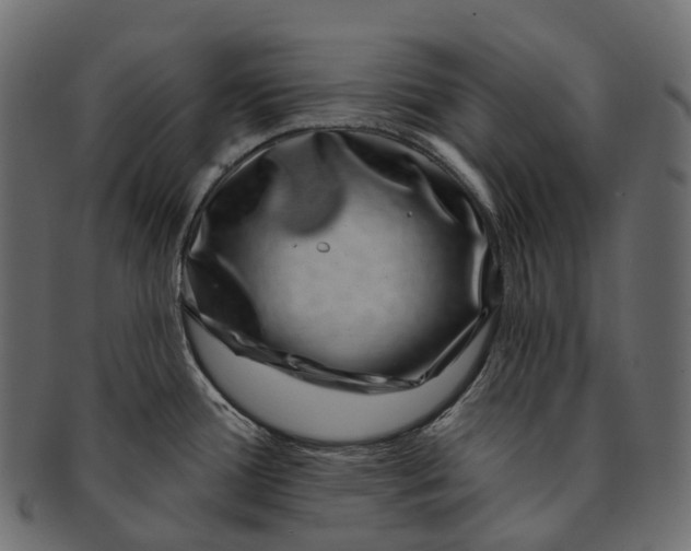 X0000091561388200709071117