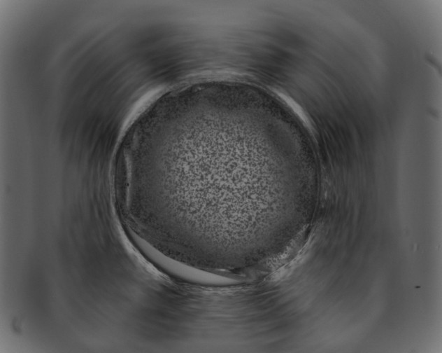 X0000091561389200709071117