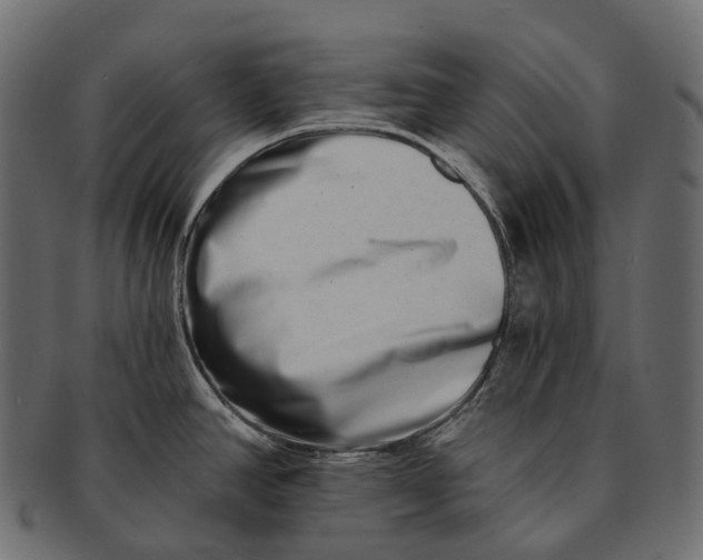 X0000091561390200709071117