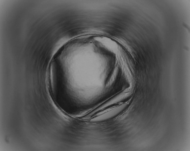 X0000091561391200709071117