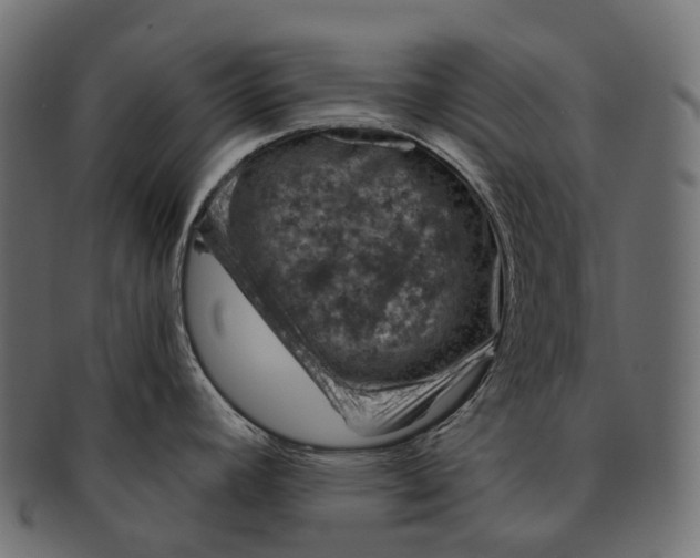 X0000091561392200709071117