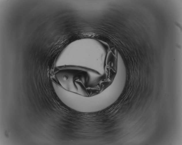 X0000091561394200709071116