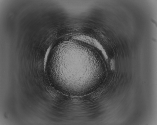 X0000091561395200709071116