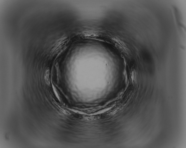 X0000091561396200709071116