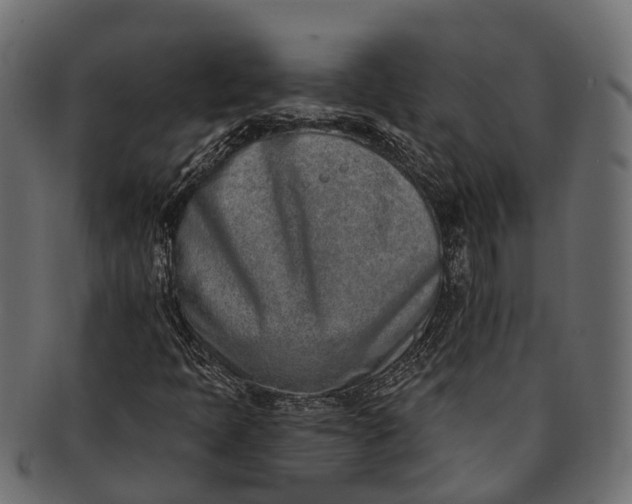 X0000091561397200709071116