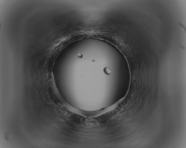 X0000091561398200709071116