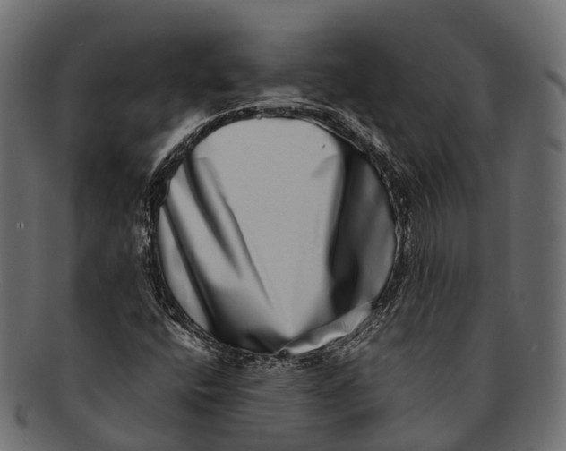 X0000091561400200709071116