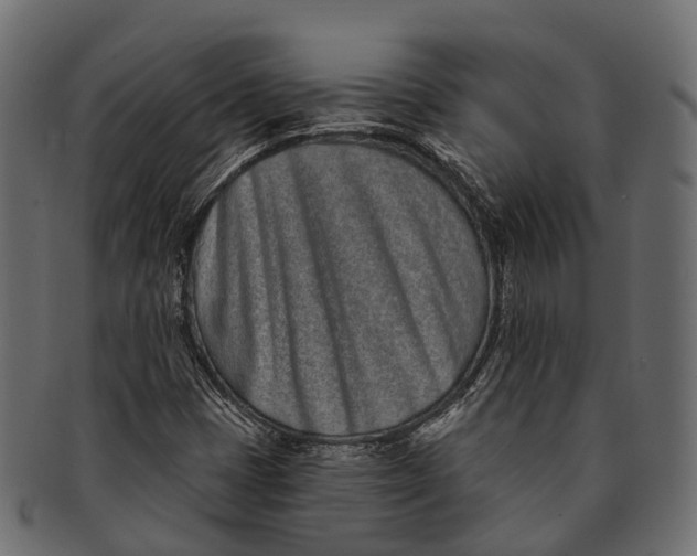 X0000091561401200709071116