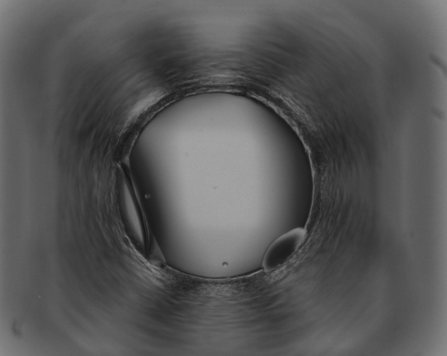 X0000091561402200709071116