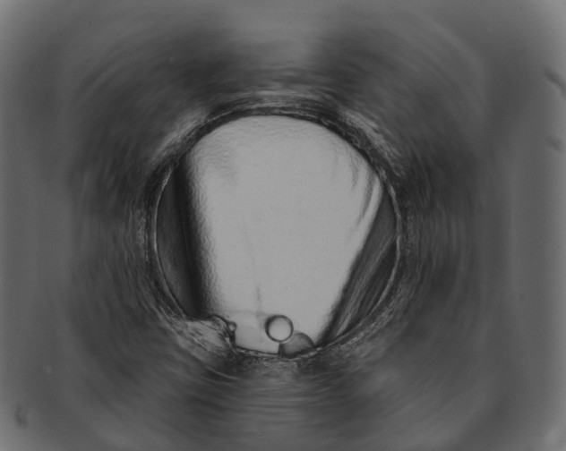 X0000091561403200709071116