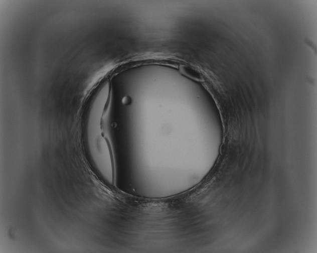 X0000091561406200709071116