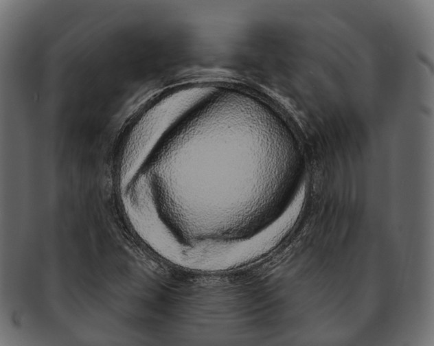 X0000091561407200709071116