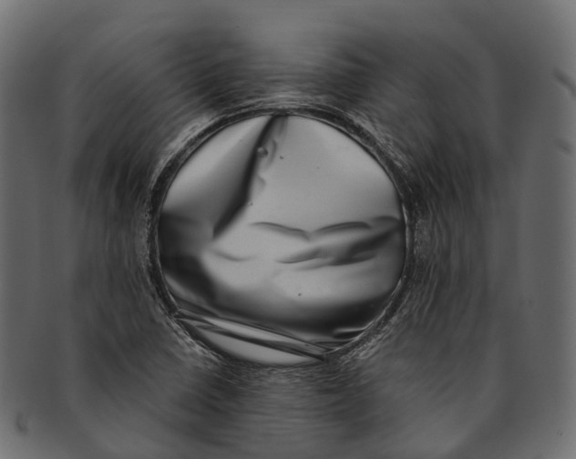 X0000091561410200709071116