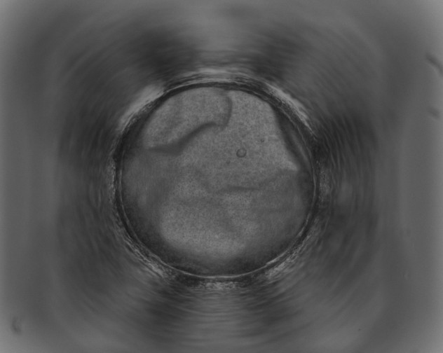 X0000091561411200709071116